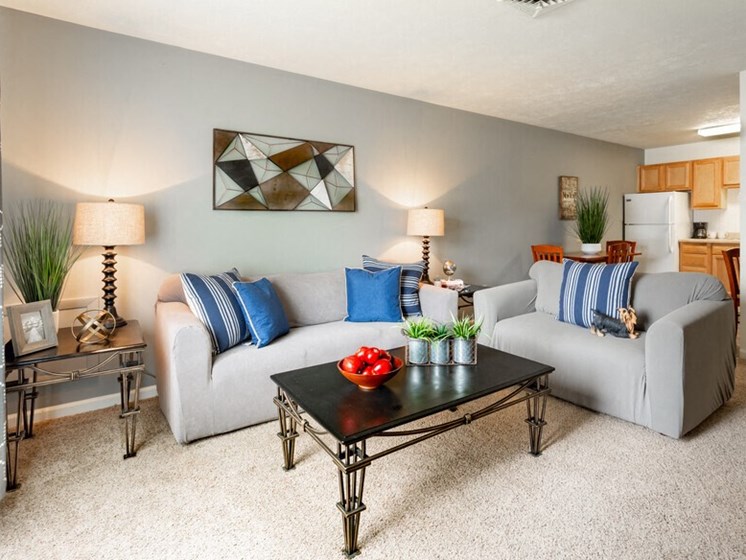 Apartments in South Bend Living Room
